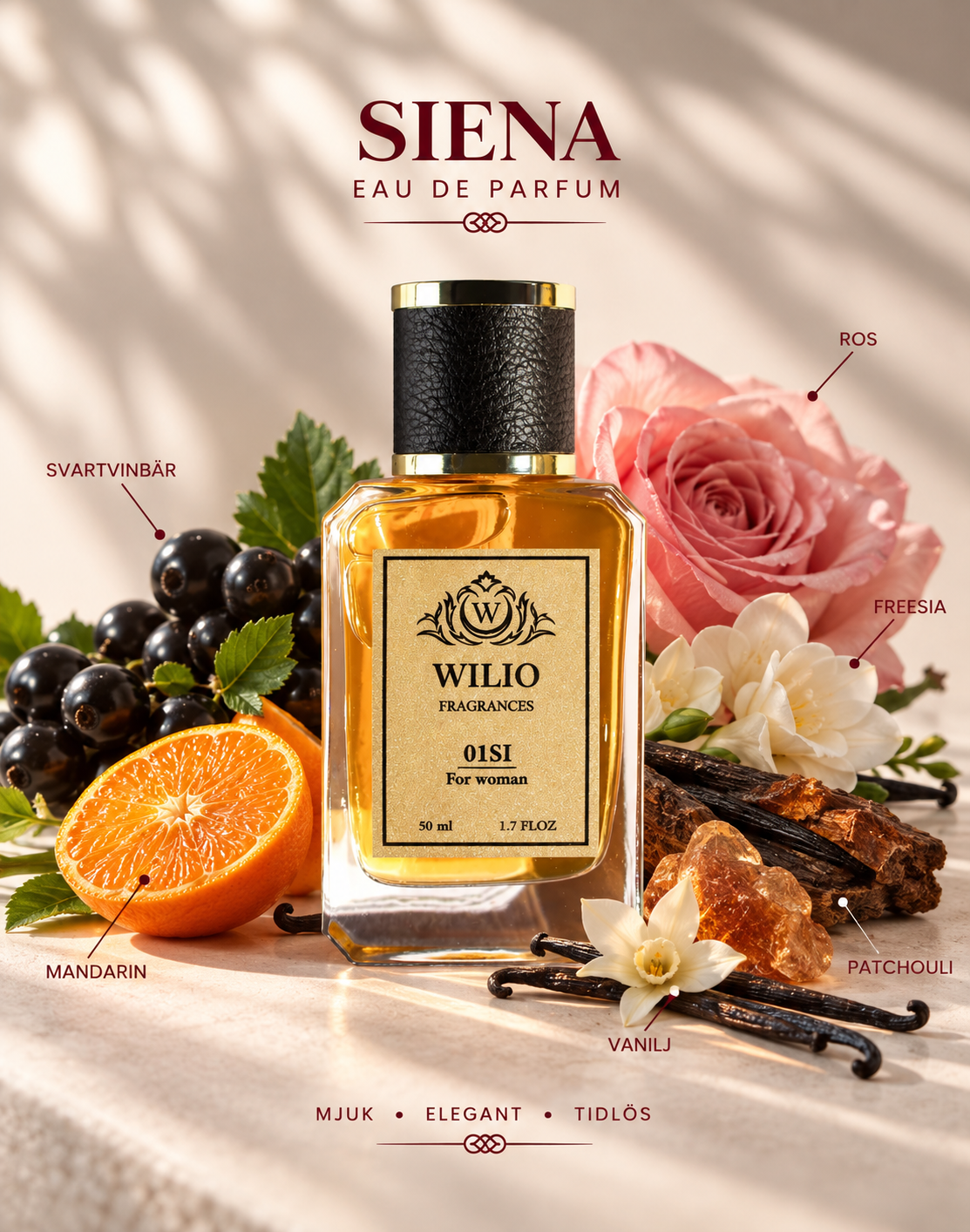 SIENA EdP